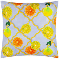 Wylder Nature Citrus Trellis Printed Outdoor Cushion Cover - Blue - Size 45 cm x 45 cm