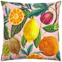 Evans Lichfield Citrus Outdoor Cushion Cover - Multicolour - One Size