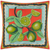 furn. Anemone Limes Printed Outdoor Cushion Cover - Multicolour - Size 45 cm x 45 cm