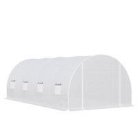 6 x 3 x 2 m Polytunnel Greenhouse